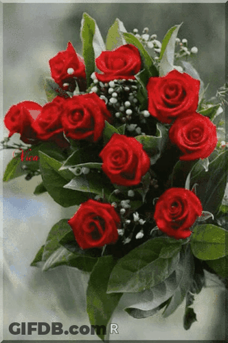 A Bunch Of Red Roses With The Letter R On It GIF