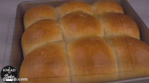A Bunch Of Rolls In A Pan With The Words Knead To Bake On The Bottom GIF