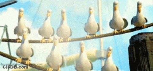 A Bunch Of Seagulls Are Sitting On A Wire With The Website The-World-Of-Birds.com In The Corner GIF