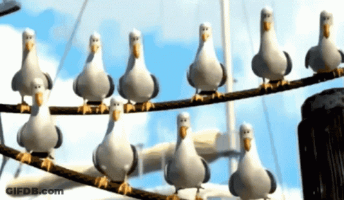 A Bunch Of Seagulls Standing On A Wire GIF
