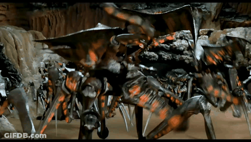 A Bunch Of Spiders Are Standing In A Cave GIF
