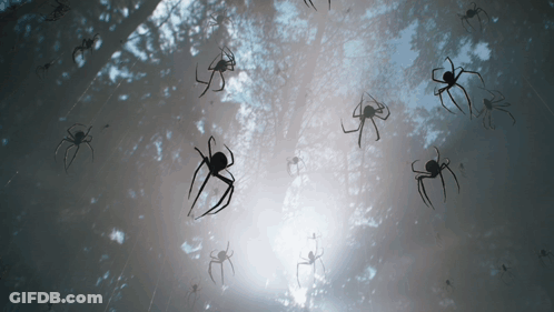A Bunch Of Spiders Hanging From A Tree GIF
