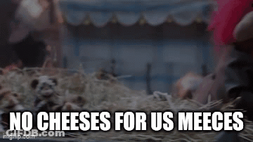 A Bunch Of Stuffed Animals Are Laying In A Pile Of Hay With The Words `` No Cheeses For Us Meeces '' Above Them GIF