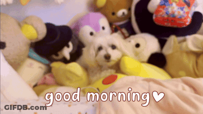 A Bunch Of Stuffed Animals Are Laying On A Bed With The Words Good Morning GIF