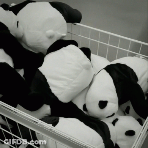 A Bunch Of Stuffed Panda Bears In A White Basket GIF