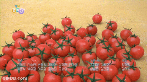 A Bunch Of Tomatoes Are Sitting On A Table With Foreign Writing GIF