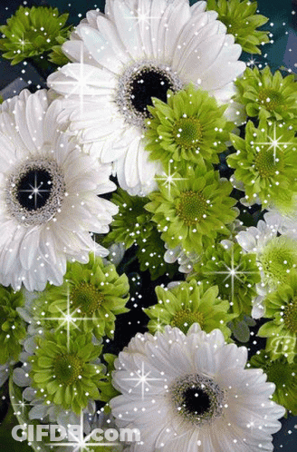 A Bunch Of White Flowers And Green Flowers Are Surrounded By Sparkles . GIF