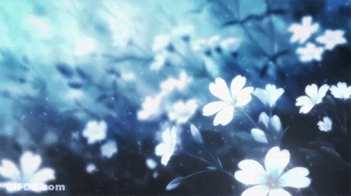 A Bunch Of White Flowers Are Against A Blue Background GIF