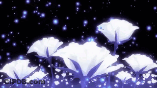 A Bunch Of White Flowers Are Glowing In The Dark With A Black Background . GIF