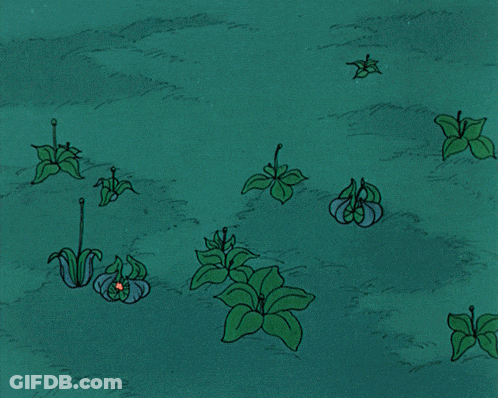 A Bunch Of White Flowers Are Growing On A Green Background GIF
