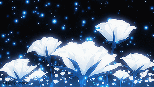 A Bunch Of White Flowers With Blue Lights Behind Them GIF