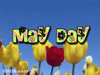 A Bunch Of Yellow And Red Flowers With The Words May Day On Top GIF