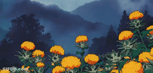 A Bunch Of Yellow Flowers Are Growing In A Field GIF