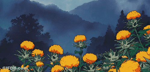 A Bunch Of Yellow Flowers Are Growing In A Field With Mountains In The Background GIF