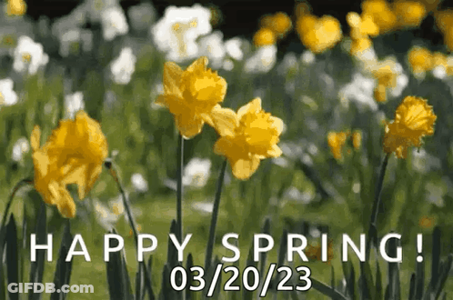 A Bunch Of Yellow Flowers In A Field With The Words Happy Spring Written On The Bottom GIF