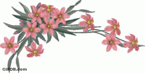 A Bunch Of Yellow Flowers With Green Leaves Are On A White Background GIF