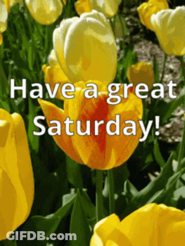 A Bunch Of Yellow Flowers With The Words " Have A Great Saturday " GIF