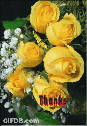 A Bunch Of Yellow Roses With A Butterfly And The Words Thanks In Red GIF