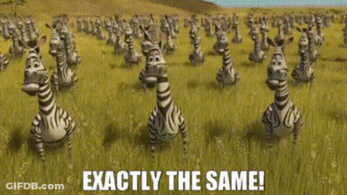 A Bunch Of Zebras Standing In A Field With The Words Exactly The Same Below Them GIF