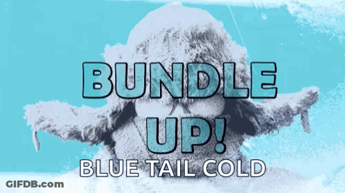 A Bundle Up Blue Tail Cold Ad With A Skull In The Background GIF