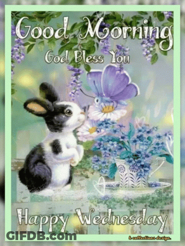 A Bunny Is Kissing A Flower With The Words Good Morning God Bless You Happy Wednesday On The Bottom GIF