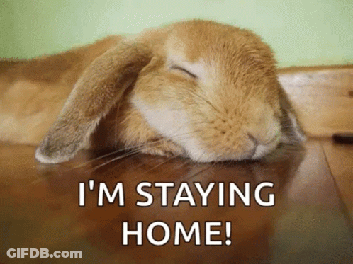 A Bunny Rabbit Is Sleeping On A Wooden Floor With The Words `` I 'M Staying Home '' Written Below It . GIF
