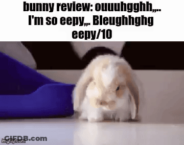 A Bunny Rabbit Is Standing On A White Surface Next To A Blue Object . GIF