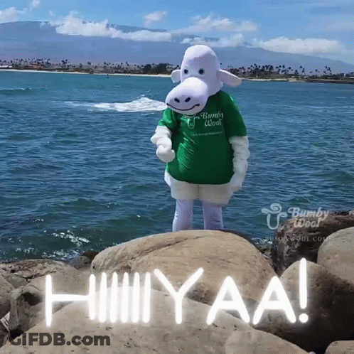 A Bunny Wool Mascot Is Standing On A Rock Near The Ocean GIF