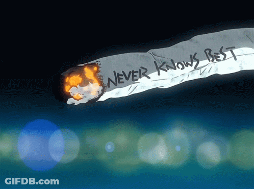 A Burning Cigarette With The Words " Never Knows Best " On It GIF