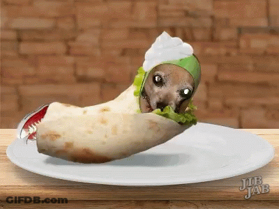 A Burrito With A Face On It Is On A White Plate GIF
