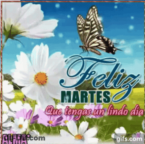 A Butterfly Is Flying Over A Field Of Flowers And The Words Feliz Martes GIF