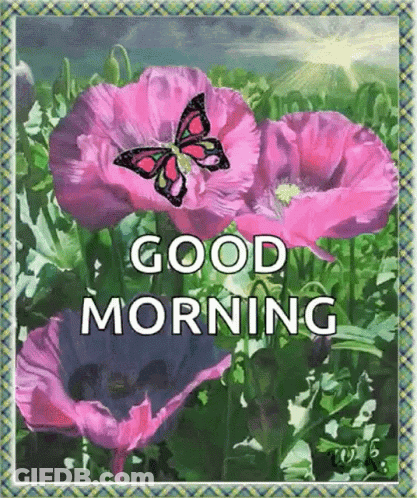 A Butterfly Is Flying Over A Field Of Pink Flowers With The Words `` Good Morning '' Written On It . GIF
