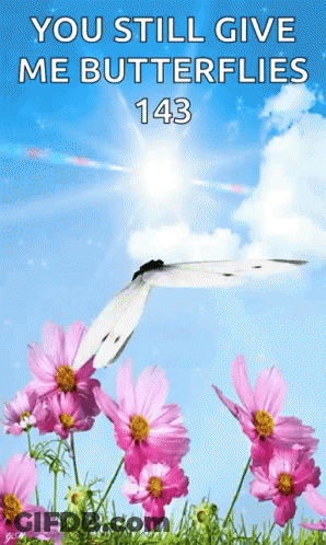 A Butterfly Is Flying Over A Field Of Pink Flowers With The Words You Still Give Me Butterflies 143 GIF