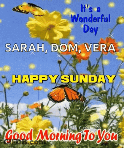 A Butterfly Is Flying Over A Field Of Yellow And Orange Flowers . GIF
