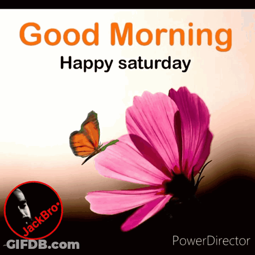 A Butterfly Is Flying Over A Pink Flower With The Words Good Morning Happy Saturday GIF