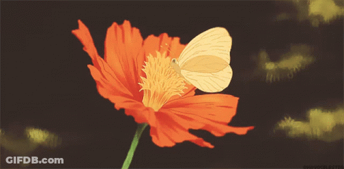 A Butterfly Is Perched On A Red Flower With A Dark Background And The Words Showsselecter Below GIF