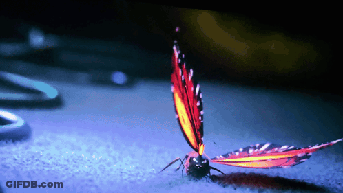 A Butterfly Is Sitting On A Blue Surface With A Purple Background GIF