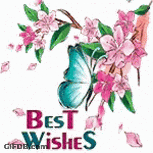 Pink Flowers With Best Wishes Text GIF