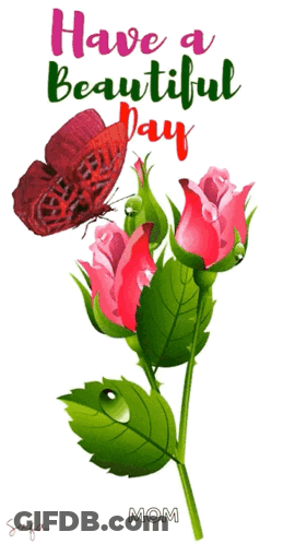 A Butterfly Is Sitting On A Flower With The Words Have A Beautiful Day Mom Below It GIF