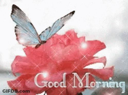 A Butterfly Is Sitting On A Pink Flower With The Words " Good Morning " Written Below It GIF