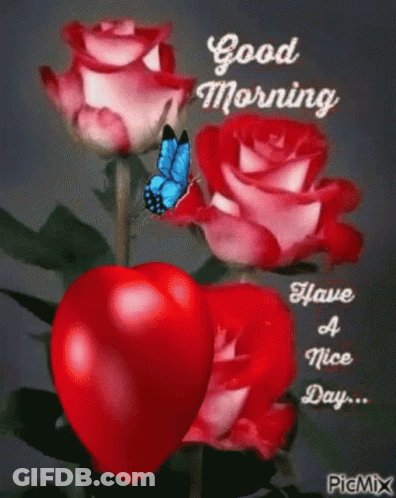 A Butterfly Is Sitting On A Red Heart Next To A Bunch Of Red Roses . GIF