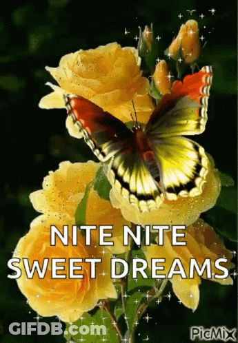 A Butterfly Is Sitting On A Yellow Rose With The Words " Nite Nite Sweet Dreams " GIF
