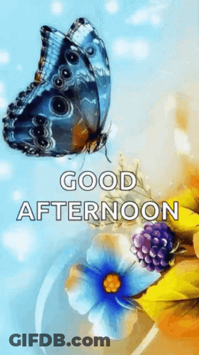 A Butterfly Is Sitting On Top Of A Flower With The Words `` Good Afternoon '' Written On It . GIF