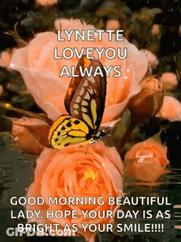 A Butterfly Is Sitting On Top Of A Flower With The Words Lynette Love You Always GIF
