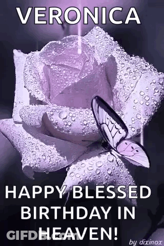 A Butterfly Is Sitting On Top Of A Purple Rose With Water Drops . GIF