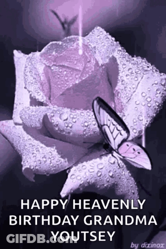 A Butterfly Is Sitting On Top Of A Purple Rose With Water Drops On It . GIF