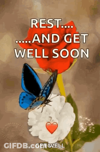 A Butterfly Is Sitting On Top Of A Red Rose With The Words `` Rest ... And Get Well Soon '' . GIF