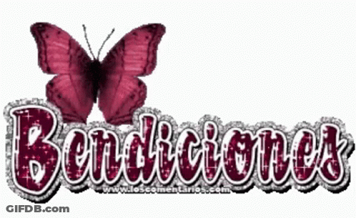 A Butterfly Is Sitting On Top Of The Words Bendiciones GIF