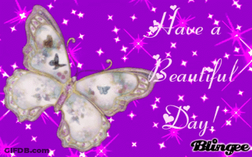 A Butterfly On A Purple Background With The Words Have A Beautiful Day Blingee GIF