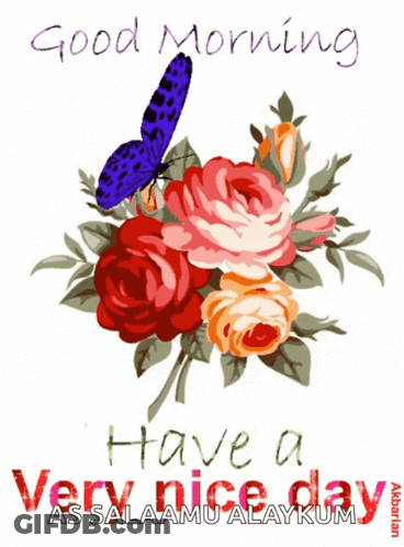A Butterfly Sits On A Bouquet Of Flowers With The Words " Good Morning Have A Very Nice Day " GIF